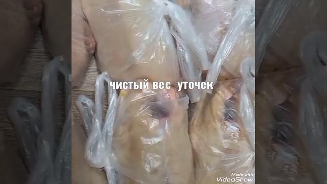 утки Агидель и Мулард смотреть онлайн