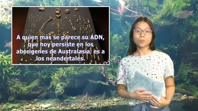 Por qué es cada vez más difícil resolver el rompecabezas de la evolución humana | Pata TV смотреть онлайн