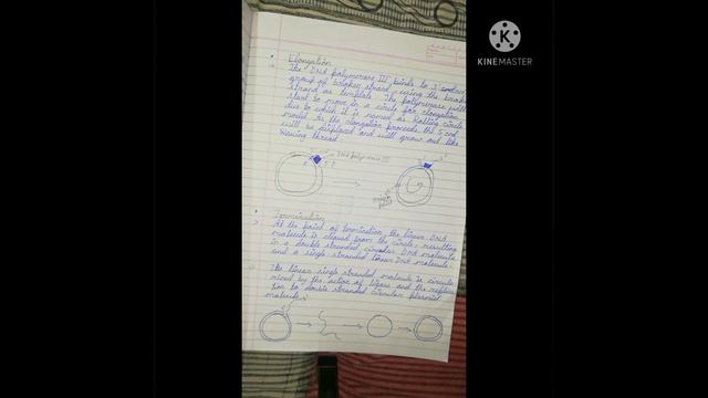 Rolling Circular Mode Of DNA Replication