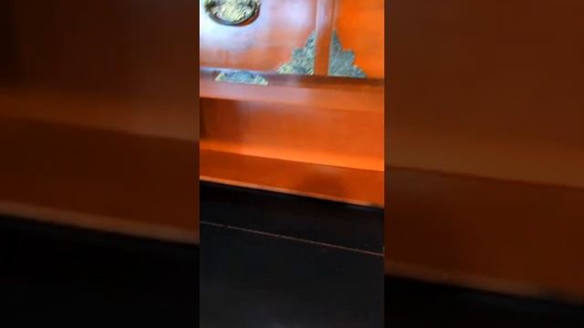 LIVE ReStore Waterford Tour April 26th смотреть онлайн