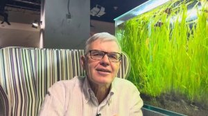 Приглашение на прямой эфир 14.12.2024 в 15ч по МСК от Андрея Лобова