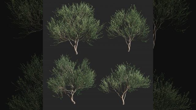 GET YO WIG SPLIT смотреть онлайн