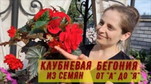 БЕГОНИЯ ИЗ СЕМЯН ОТ А до Я. 2 ЧАСТЬ.