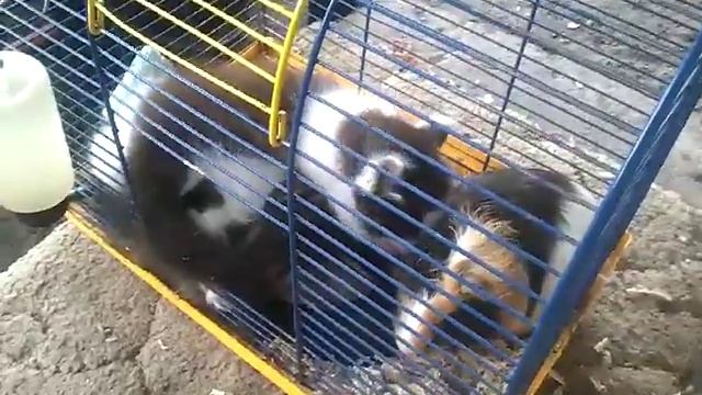 два друга в одном круге смотреть онлайн