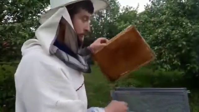 Рамочные изоляторы для подсадки маток смотреть онлайн