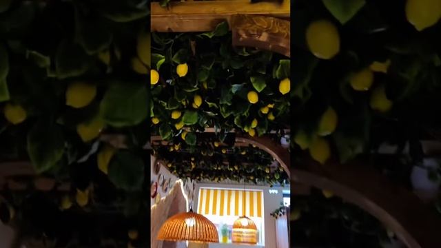 Завтраки в ресторане Casa LIMONE смотреть онлайн