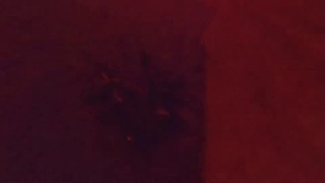 Одиночный огонь. Kugel. смотреть онлайн