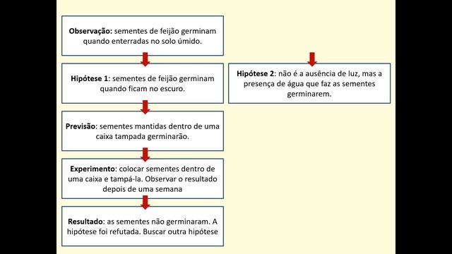 9º Ano - Química / Física - Aula 01 - Introdução ao método científico смотреть онлайн