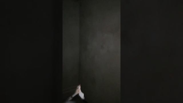 1 кв 47,10 кв.метров смотреть онлайн