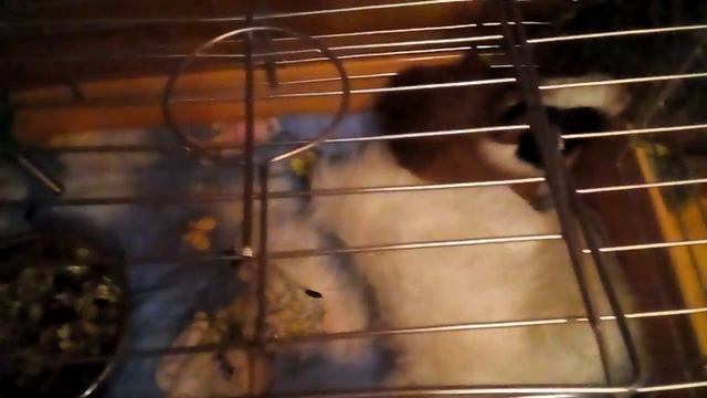 Наши первые дни с Герой смотреть онлайн