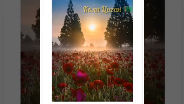 Коля Абасов Ai Gyz Tirona #kolyasigan#lebap#Чарджов#jonliijro#turkmenaydym