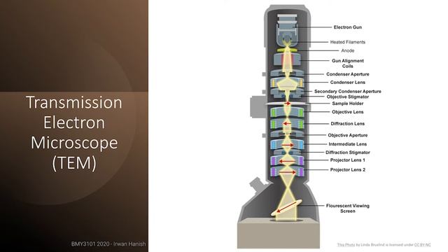 Microscopy (part 3) - Types of Electron Microscopes смотреть онлайн