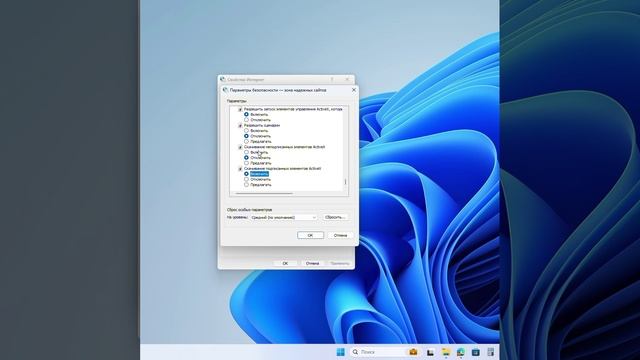Включение элементов ActiveX в Internet Explorer смотреть онлайн