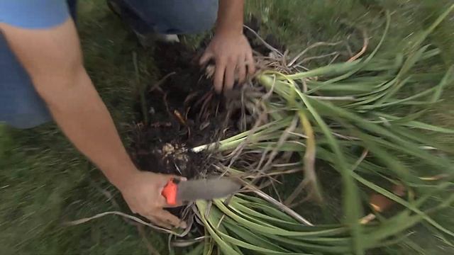 Seasonal Home Maintenance Checklist | HouseSmarts смотреть онлайн