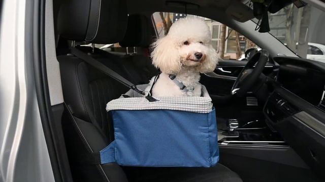 Petbobi Hanging Pet Car Seat | Get an Elevated View of the World смотреть онлайн