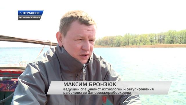 Спасем Днепр вместе смотреть онлайн