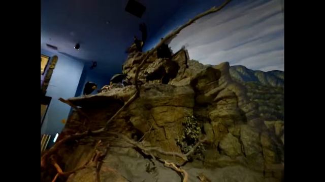 A Day At the Museum (LA Natural History Museum) смотреть онлайн