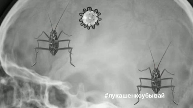 Во всем виноваты тараканы! //#лукашенкоуходи //#стоптаракан смотреть онлайн