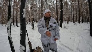 В поисках лося! Охота с собаками в лесу! #охота2022