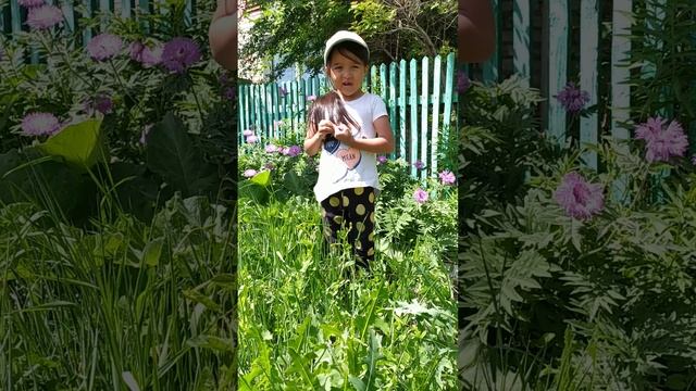 Песенка "Солнечный круг" смотреть онлайн