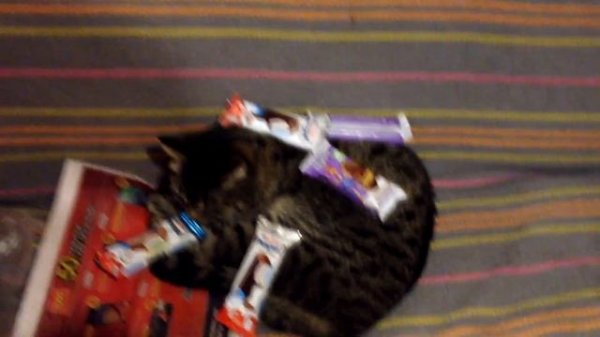 MC Pashtet - Апогей паштета