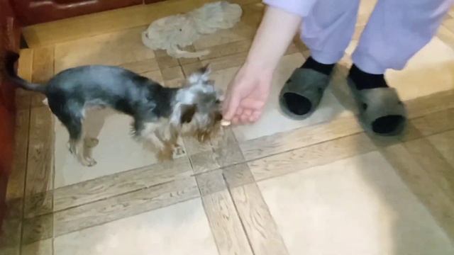 Пирог с изюмом к чаю и ужин от Алексея смотреть онлайн