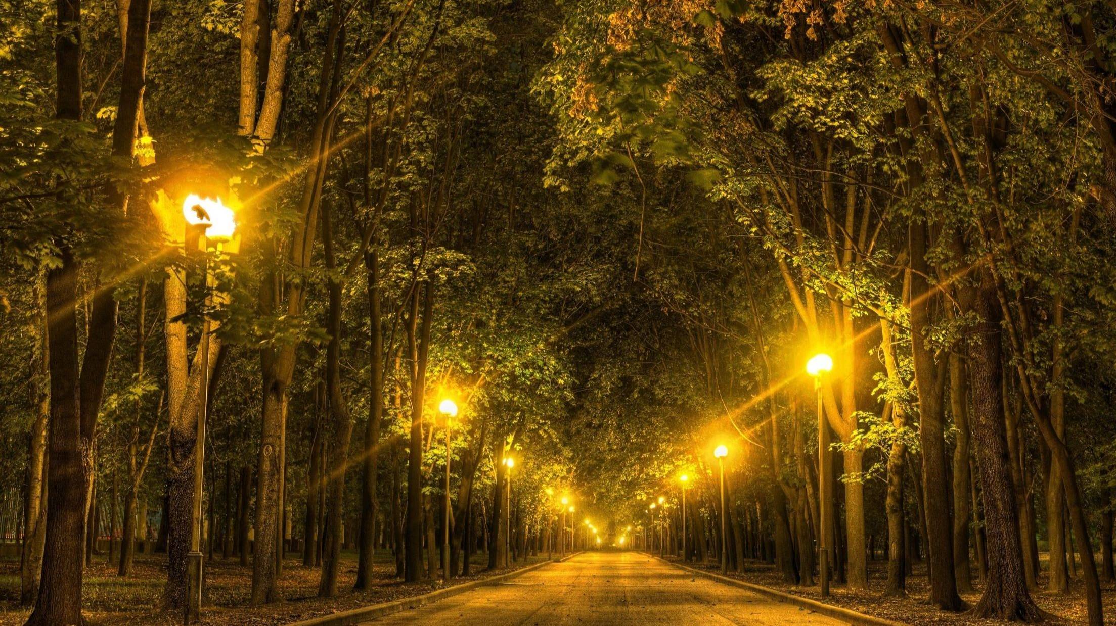 НАШИ АКТЕРЫ