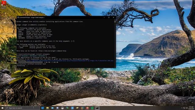 Winget Tool. Windows Package Manager. смотреть онлайн