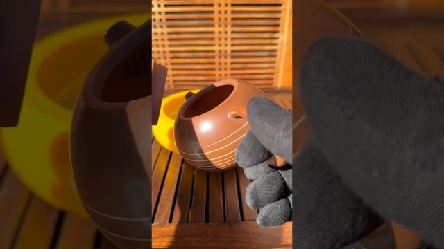 CH-61. Чайник ЦЗЯО НИ СИ ШИ 绞泥西施 смотреть онлайн