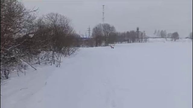 кур_141224 смотреть онлайн