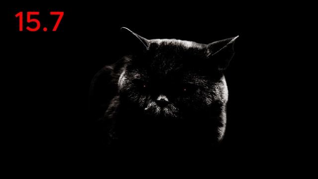 Жуткие лица Кефира 425 фаз 1+ час ???-расширенная версия смотреть онлайн