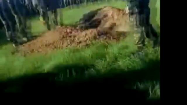 самые эпичные фразы #5 смотреть онлайн