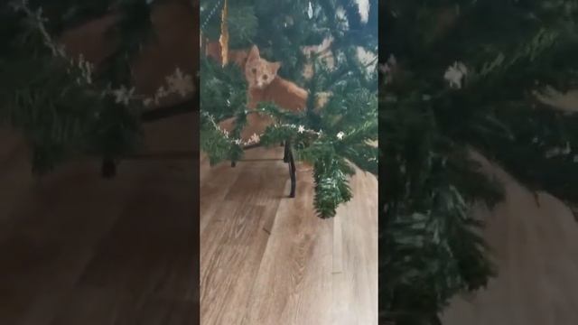 новый год 2020, наш тигр) смотреть онлайн