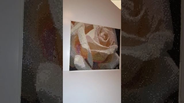 МОИ РОЗЫ смотреть онлайн