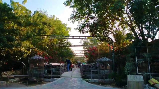 Friday vlog|Qatar private farm visit|Malayalam Vlog|Special Banana Fry Recipe смотреть онлайн