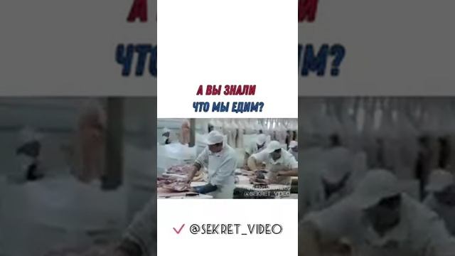 А вы знали что мы едим?? Если нет тогда Посмотрите что !!?? смотреть онлайн