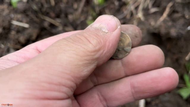 Шурф старого дома с Nokta Legend