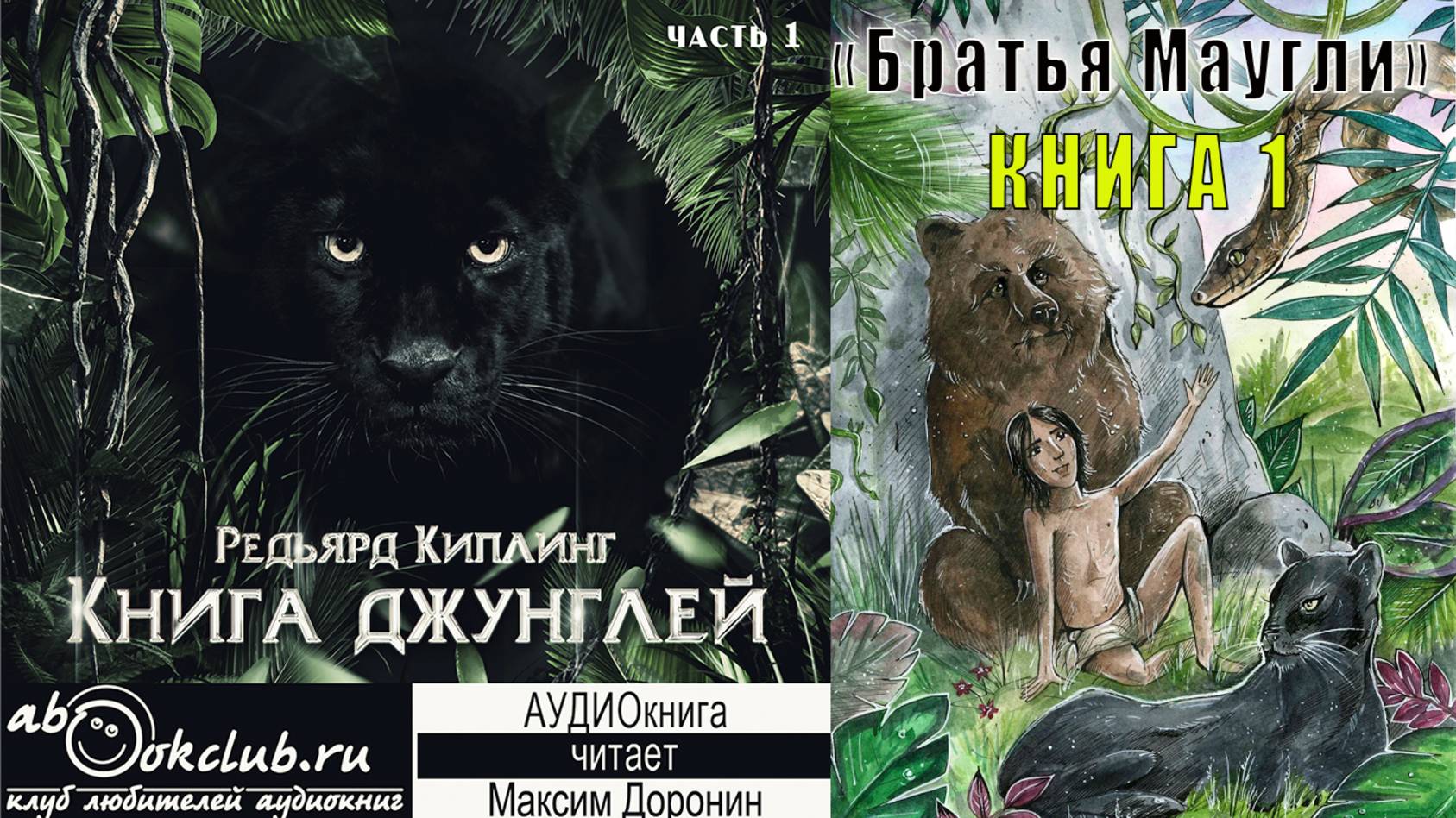 01.01 Редьярд Киплинг аудиоцикл "Книга джунглей" (книга 1 рассказ 1) - "Братья Маугли"