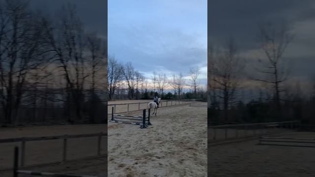 Kaitlin Farrell and Himalaya. First time jumping. Senator Bell Farm March 2020. смотреть онлайн