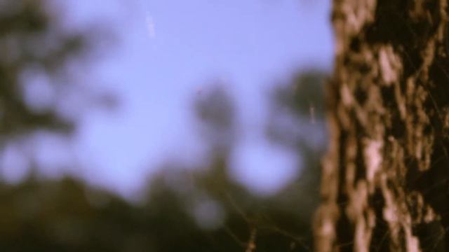 Мы находим то, что не можем найти смотреть онлайн