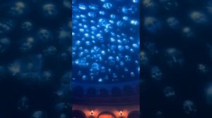 Eagles в Лас- Вегасе. Сфера. Сентябрь 2024