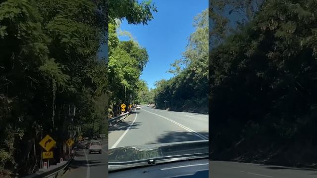 Moggill Road at 13 km from Brisbane CBD #countryroad смотреть онлайн