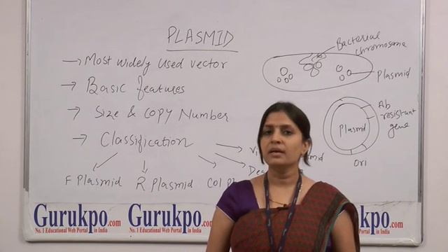 Plasmid lecture, B.Sc, M.Sc by Dr. Leena Kansal