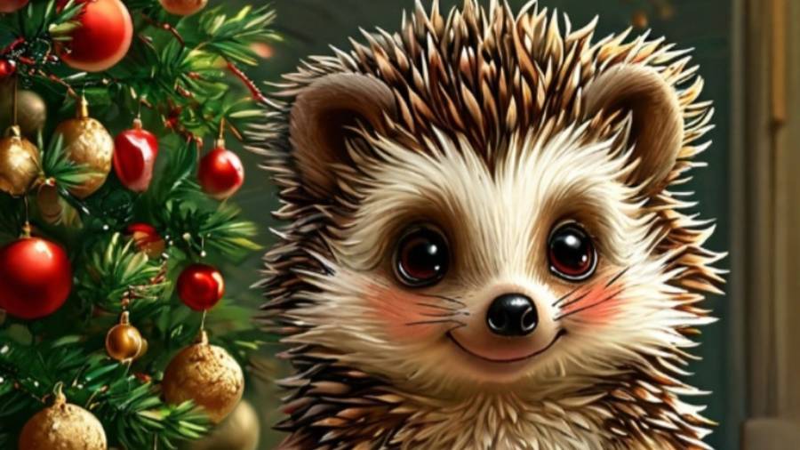 КОЛЮЧИЙ ЁЖИК смотреть онлайн