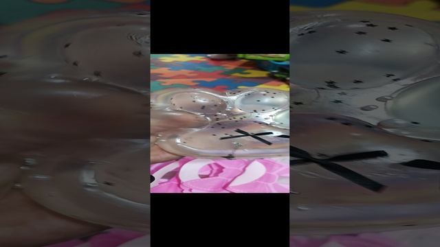 лапки смотреть онлайн