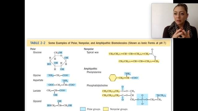 Agua Bioquímica смотреть онлайн