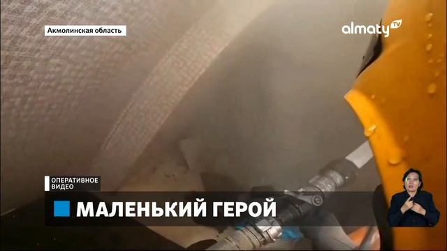 Герои среди нас: 10-летний мальчик спас от гибели себя и своего годовалого братика смотреть онлайн