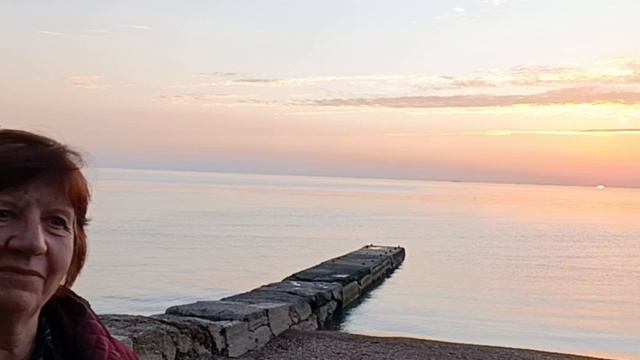 Мандариновая зарисовка и неожиданное знакомство смотреть онлайн