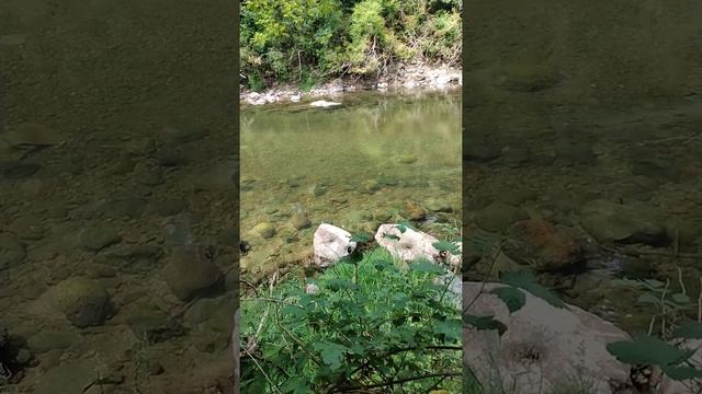 Clearwater river: Indigenous Abenaki Language word translated "Clear River"🚣🏿♀️🏞️#wabanaki #abenak смотреть онлайн