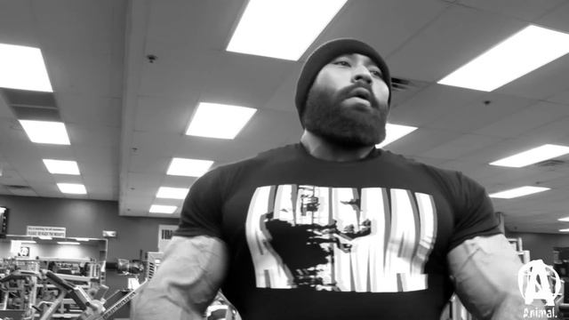 ANIMAL WHEY "The Animal Way" смотреть онлайн